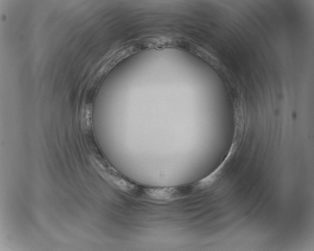 X0000053110191200508012134