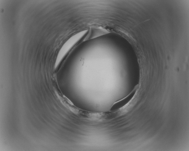 X0000053110192200508012134