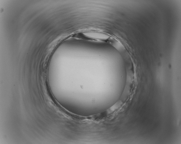 X0000053110193200508012134