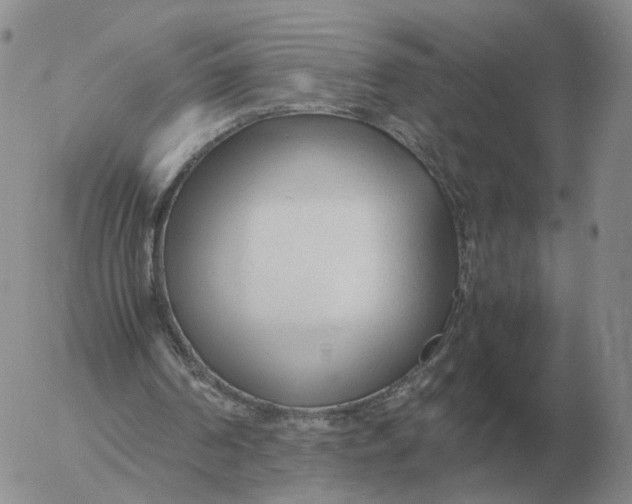 X0000053110194200508012134