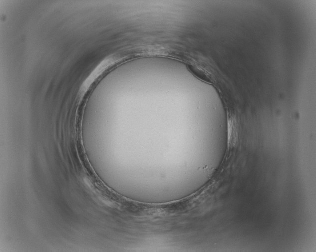 X0000053110195200508012133