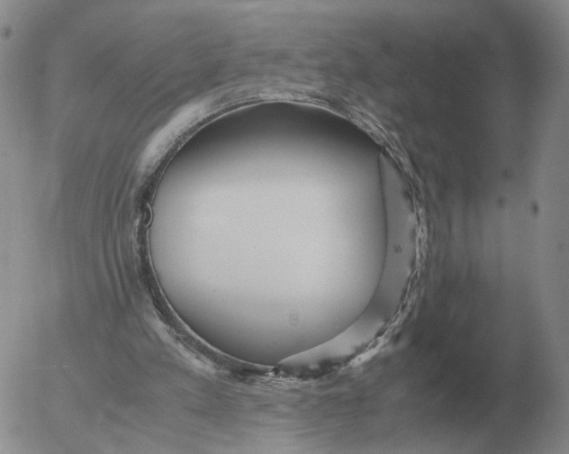 X0000053110197200508012133