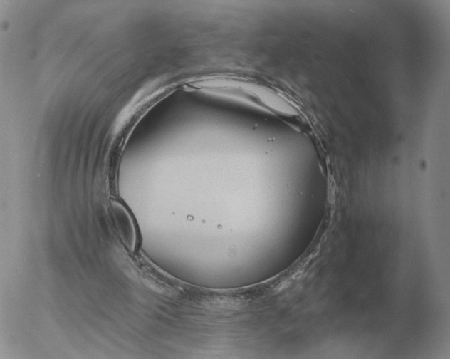 X0000053110198200508012133