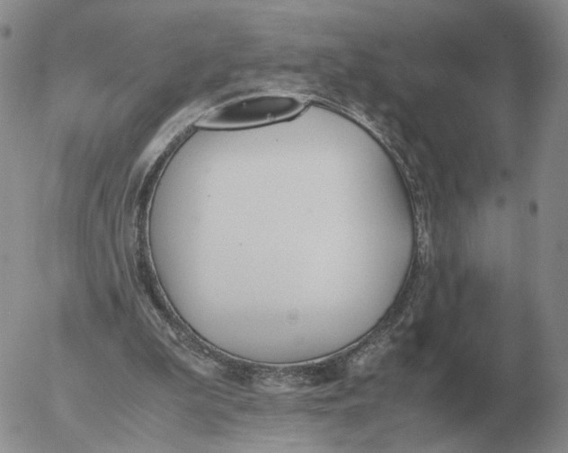 X0000053110199200508012133