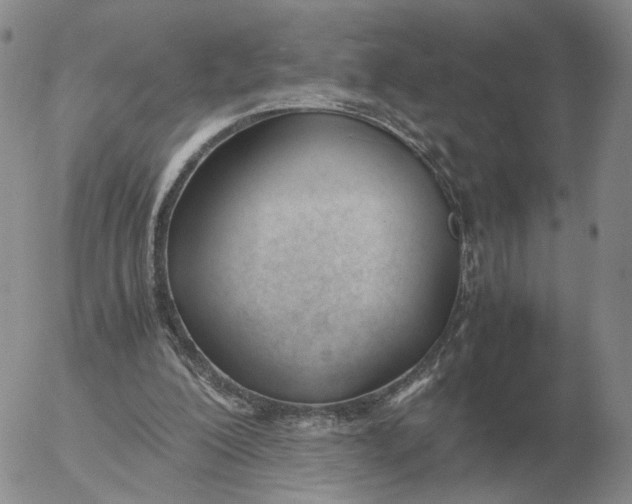 X0000053110200200508012133