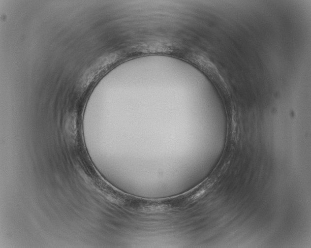 X0000053110202200508012133