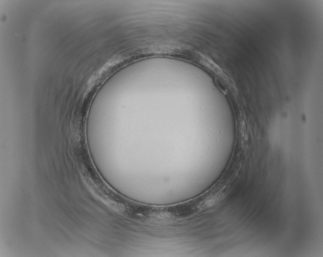 X0000053110203200508012133