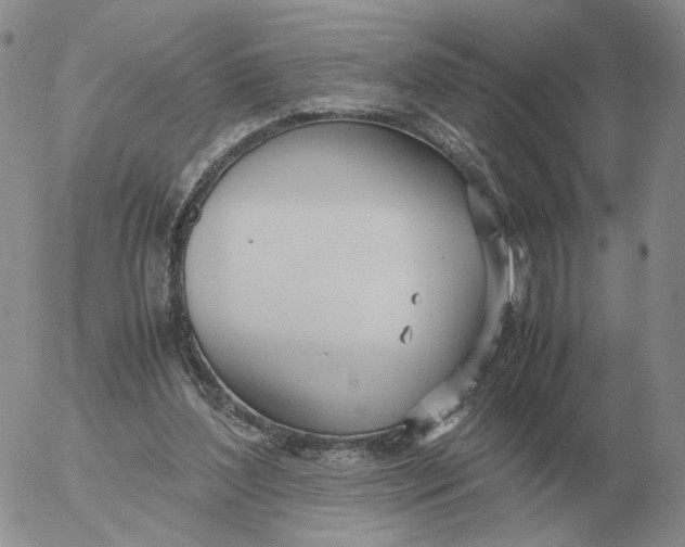 X0000053110204200508012133