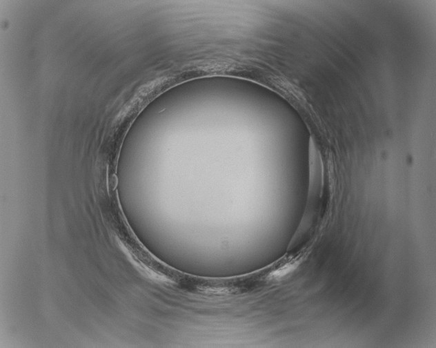 X0000053110205200508012133