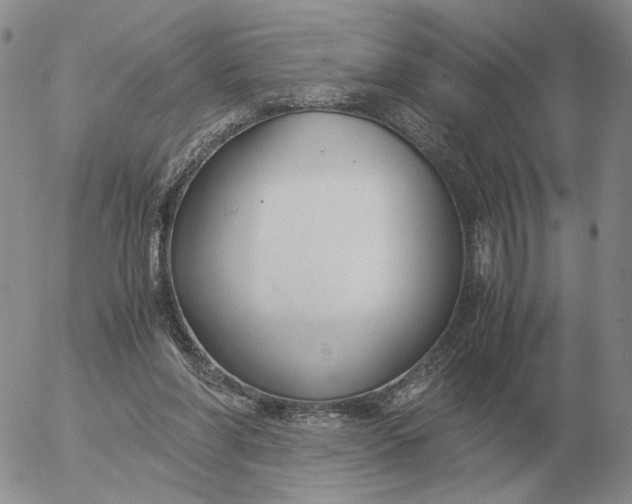 X0000053110206200508012133