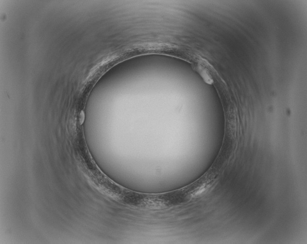 X0000053110207200508012133