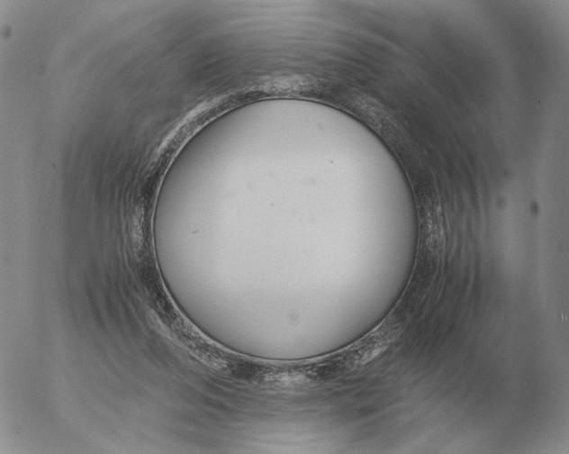 X0000053110208200508012133