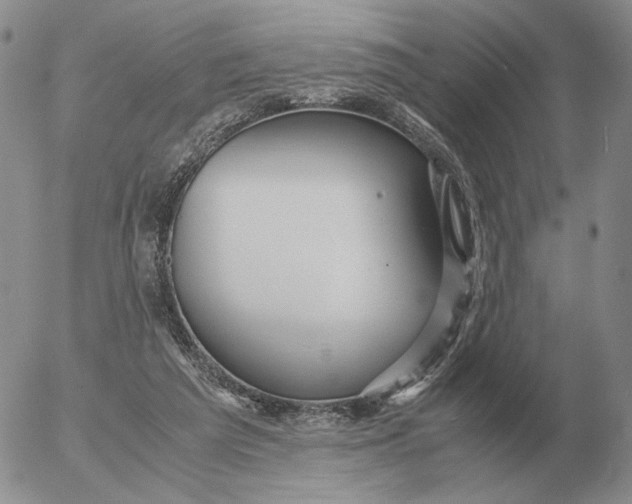 X0000053110209200508012133