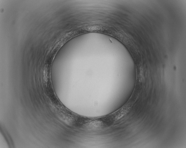 X0000053110210200508012133