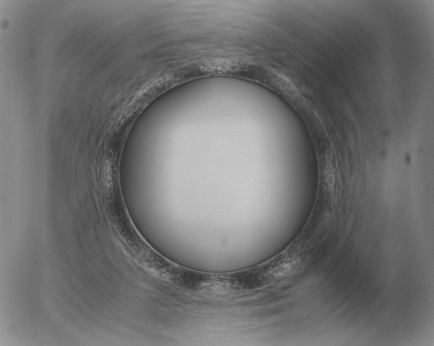 X0000053110211200508012133