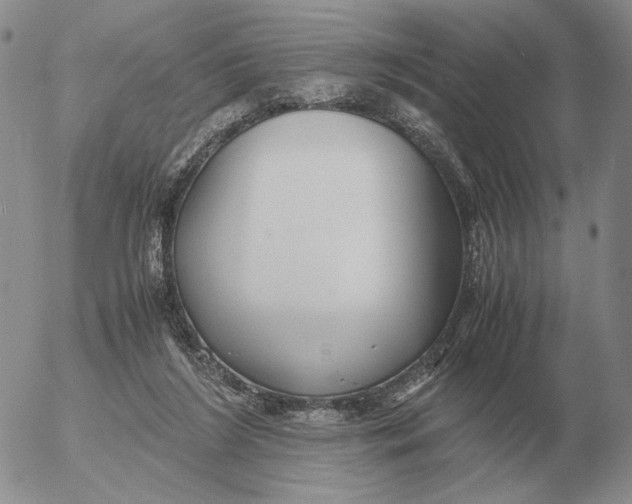 X0000053110212200508012133