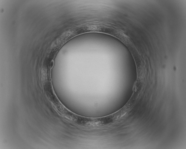 X0000053110213200508012133