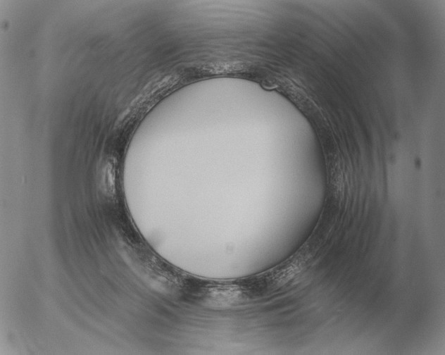 X0000053110214200508012133