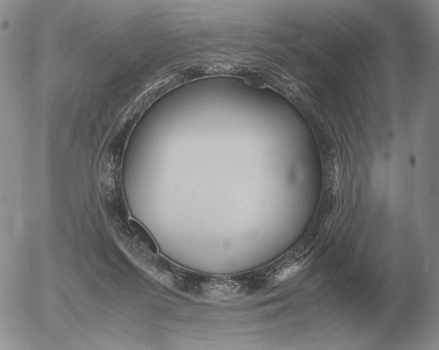 X0000053110215200508012133