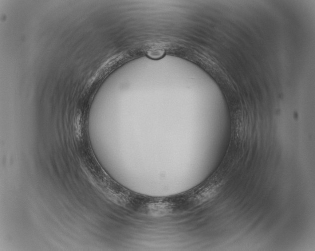 X0000053110216200508012133