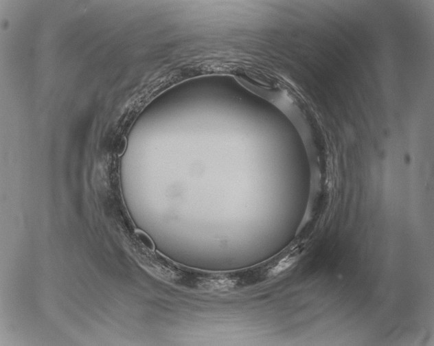 X0000053110217200508012133