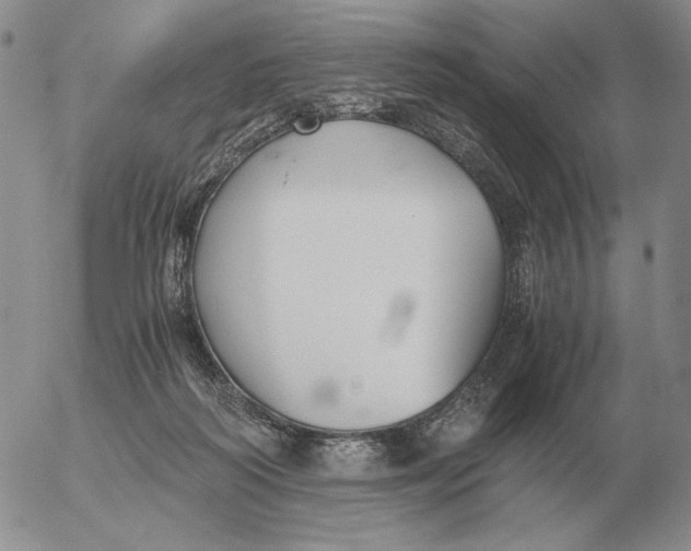 X0000053110218200508012133