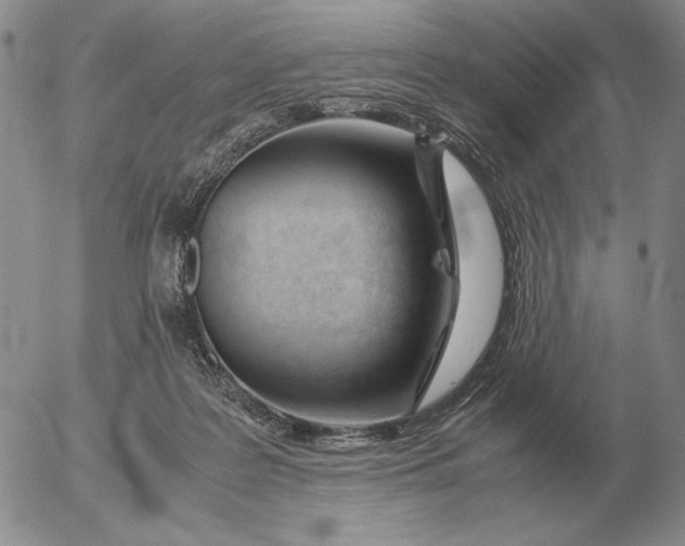 X0000053110219200508012133