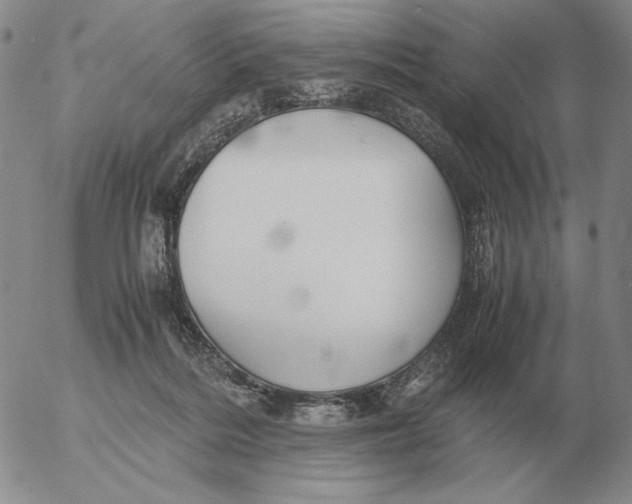 X0000053110220200508012133