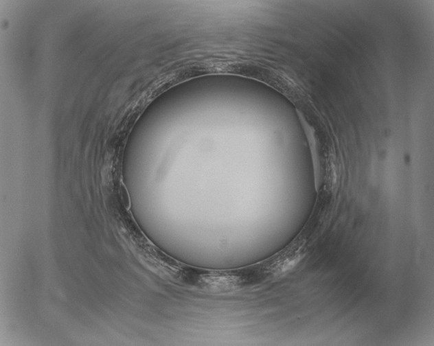 X0000053110221200508012133