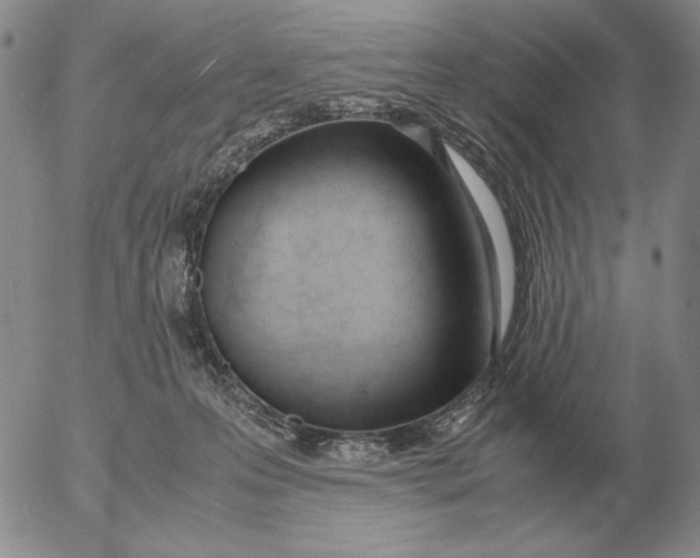 X0000053110223200508012133