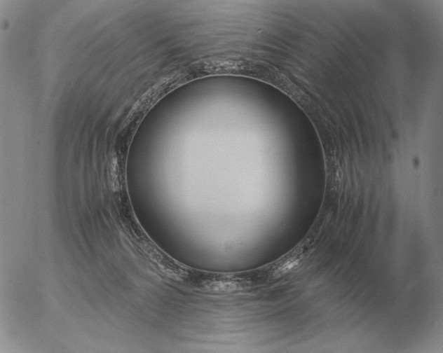 X0000053110224200508012133