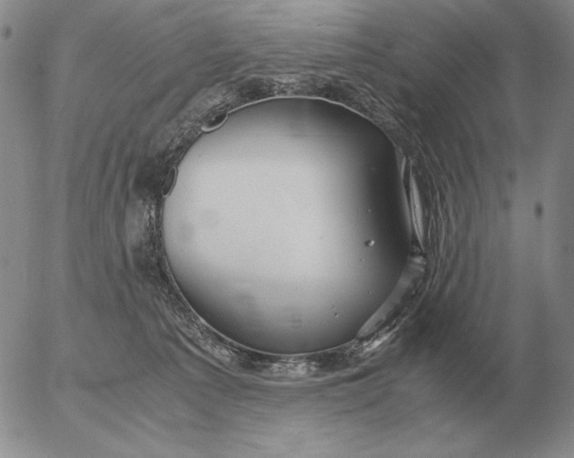 X0000053110225200508012133