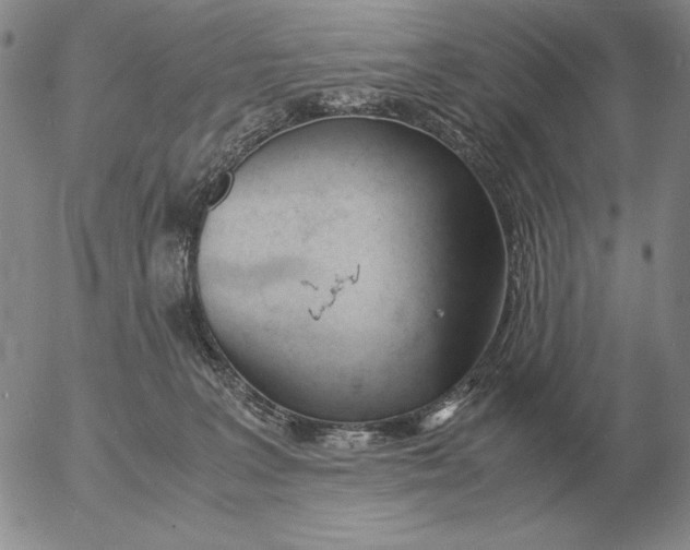 X0000053110227200508012133