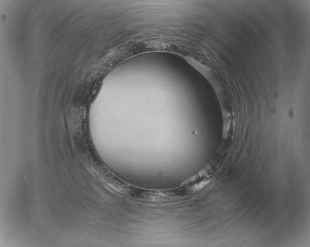 X0000053110229200508012133