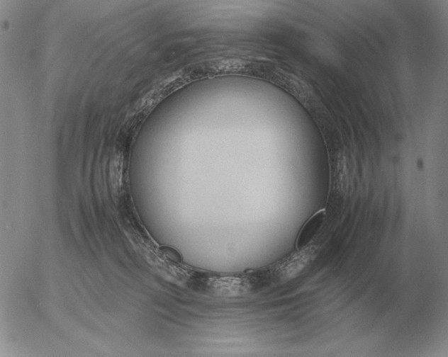 X0000053110230200508012133