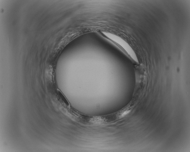 X0000053110231200508012133