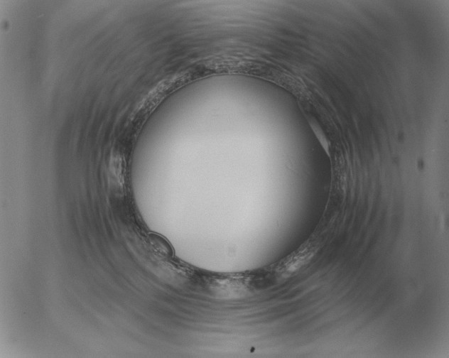 X0000053110232200508012133