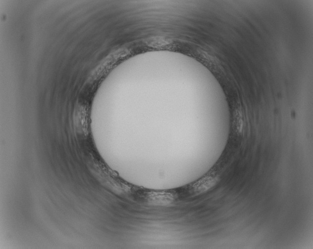 X0000053110234200508012133