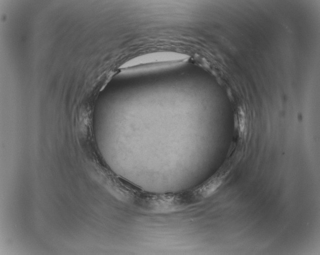 X0000053110235200508012133