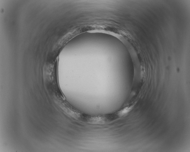 X0000053110237200508012133