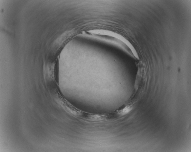 X0000053110239200508012133