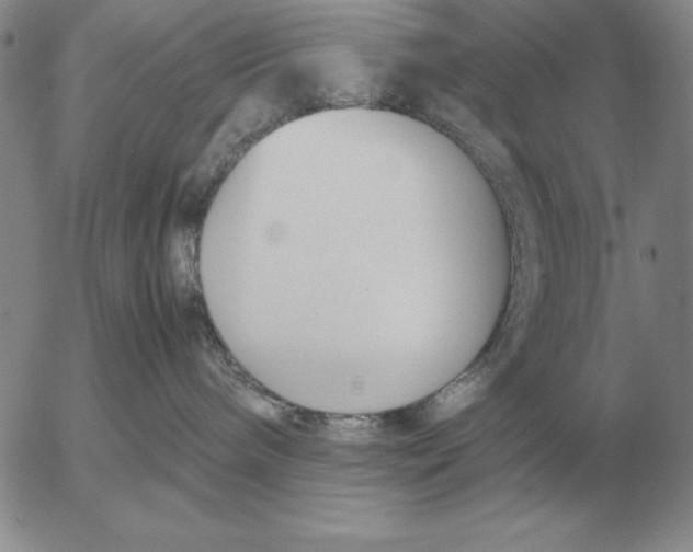 X0000053110240200508012133