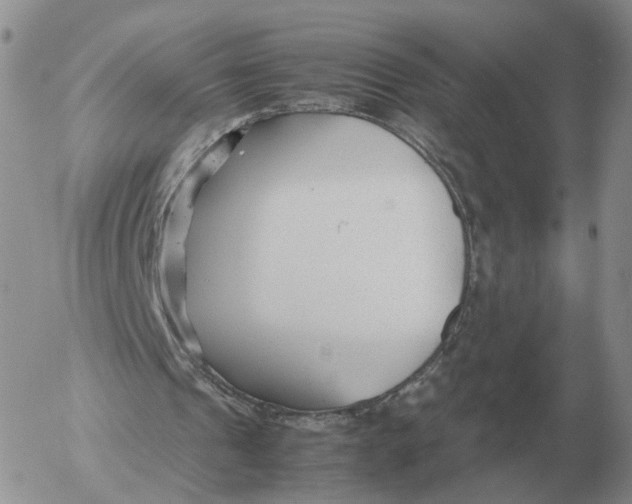 X0000053110241200508012132