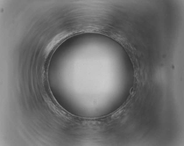 X0000053110242200508012132