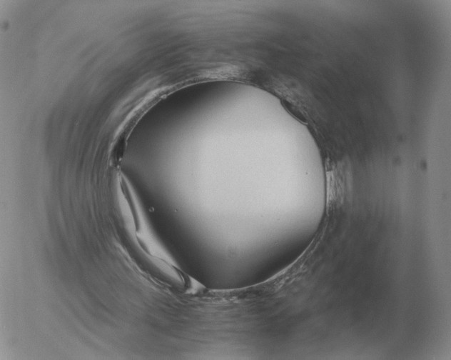 X0000053110243200508012132