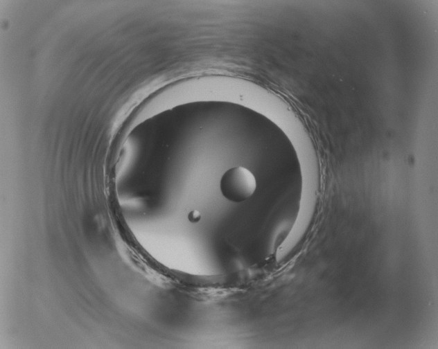 X0000053110244200508012132