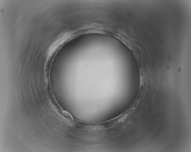 X0000053110245200508012132