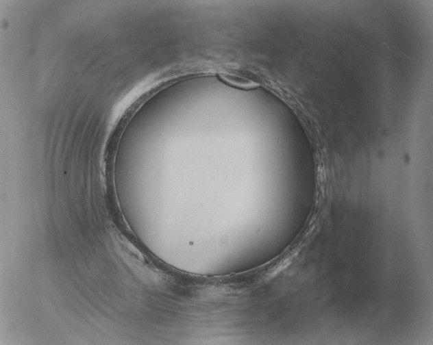 X0000053110246200508012132