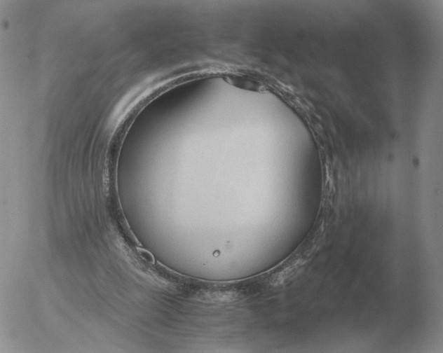 X0000053110247200508012132