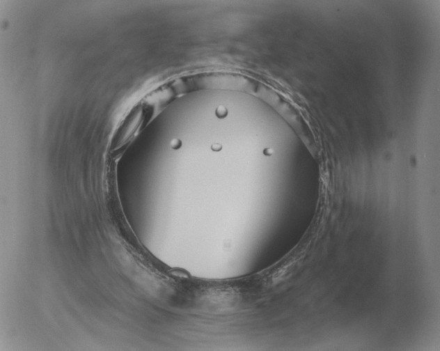 X0000053110248200508012132